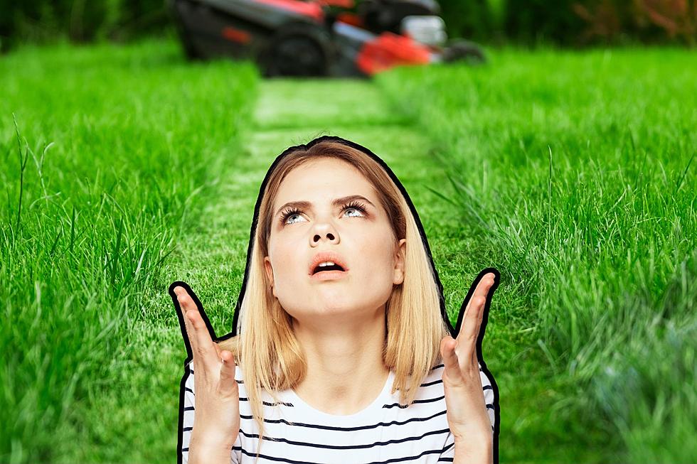 Open Letter to Colorado to Stop Mowing Lawns Early Morning