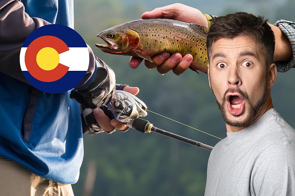 The Remarkable Records for Biggest Fish Caught in Colorado