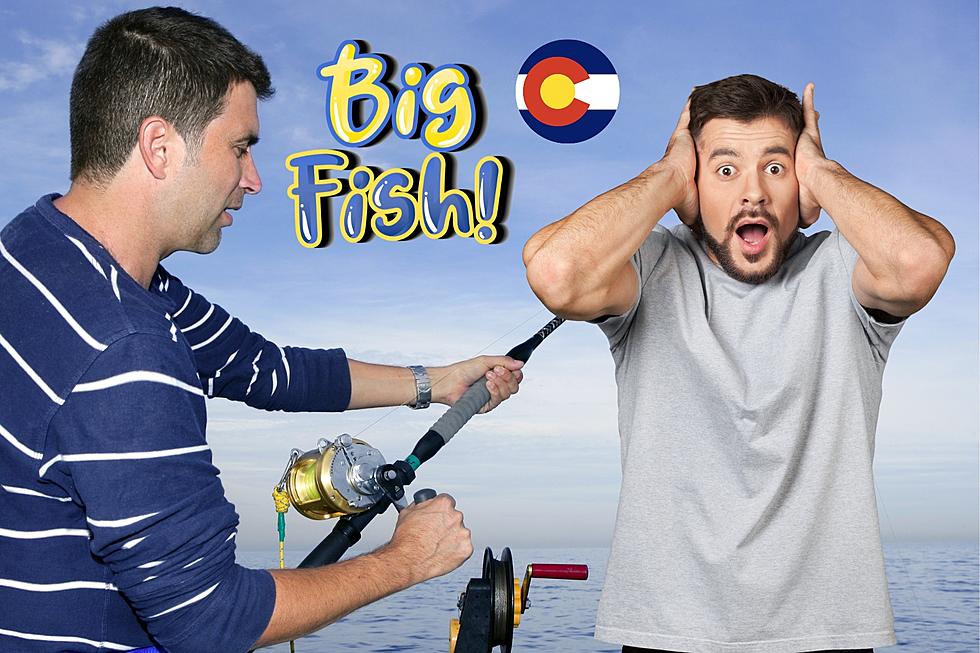 Colorado Anglers Just Caught A Gigantic Fish In The Ocean