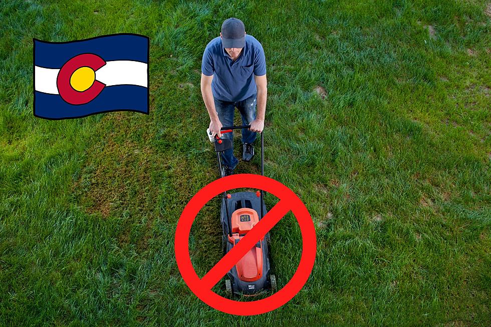 New Colorado Regulation Could Restrict Gas-Powered Lawn Equipment