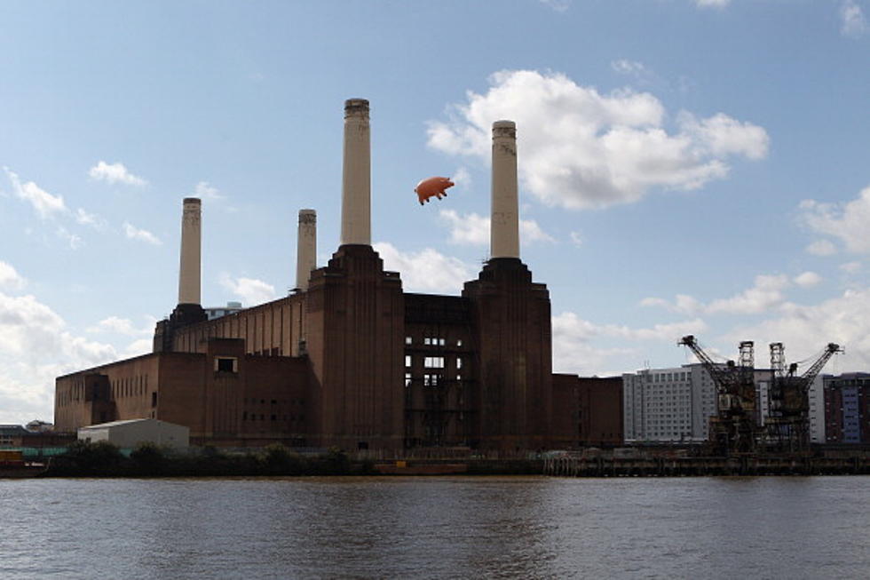 Pink Floyd ‘Animals’ Album Cover Recreated Over London