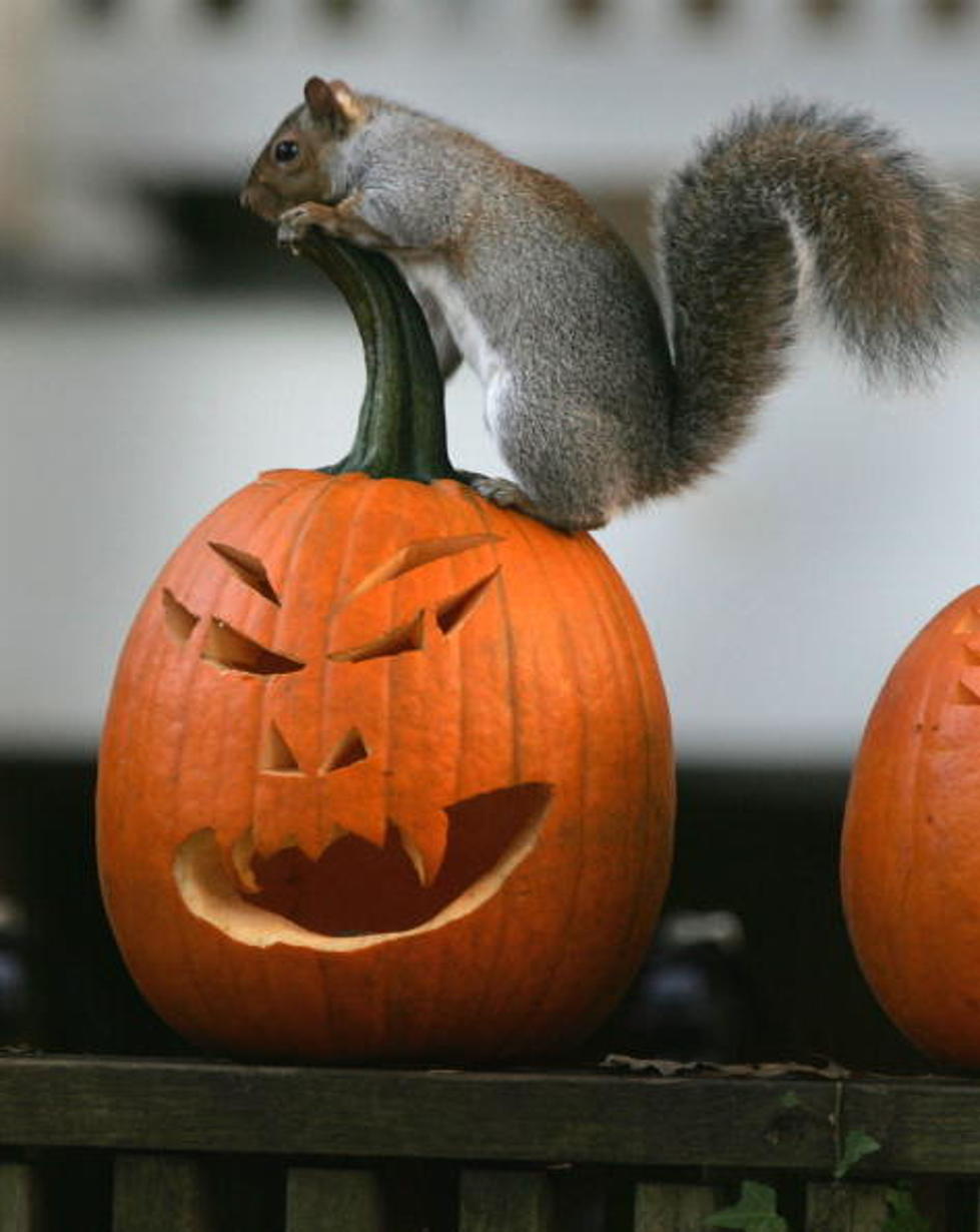 Local Dentist Offering Cash for Your Halloween Candy