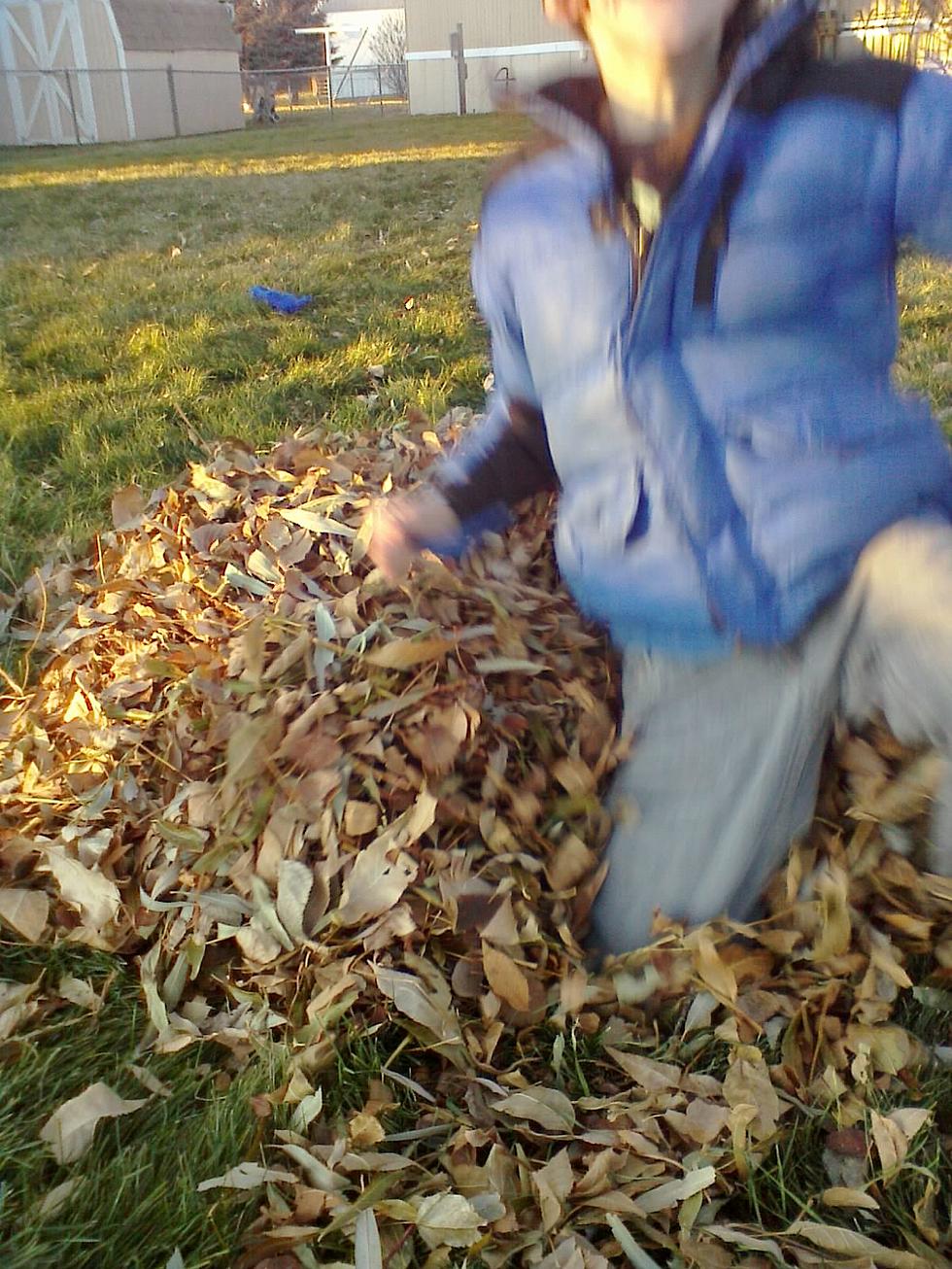 Cheyenne’s Annual City-Wide Leaf Pick-Up is Saturday