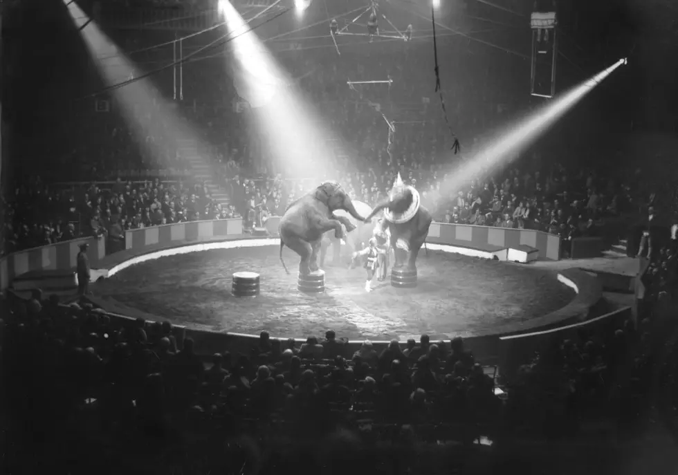 Big Fun At The Shrine Circus!