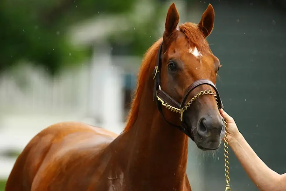 Rock Springs May Stop Horse Racing