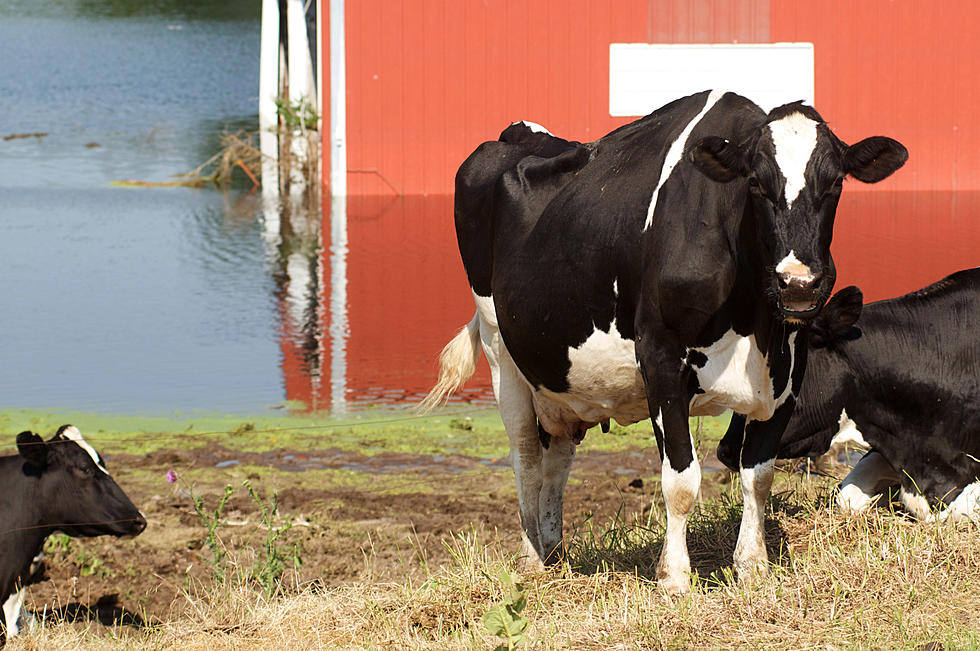 Ag Census Approaching [AUDIO]