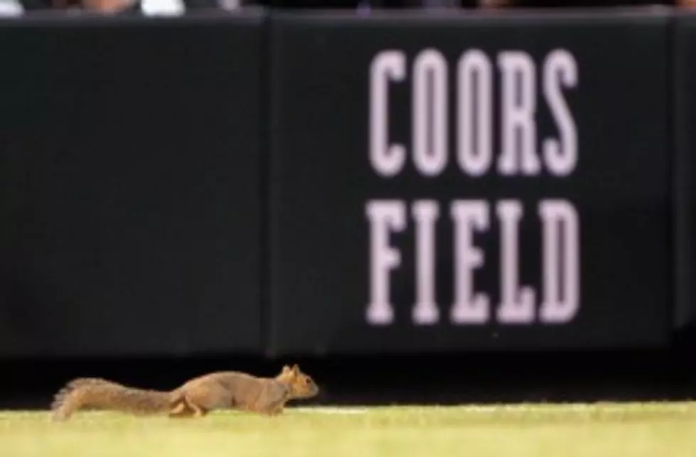 Squirrel Delays Rockies&#8217; Baseball Game at Coors Field