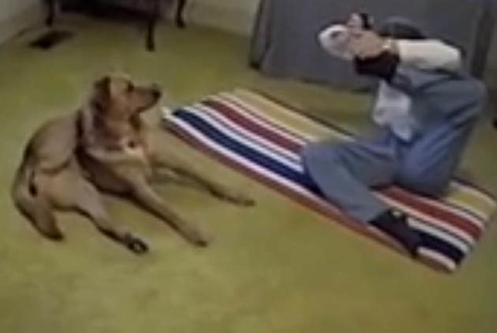 Dog Yoga In Sync With Master [VIDEO]