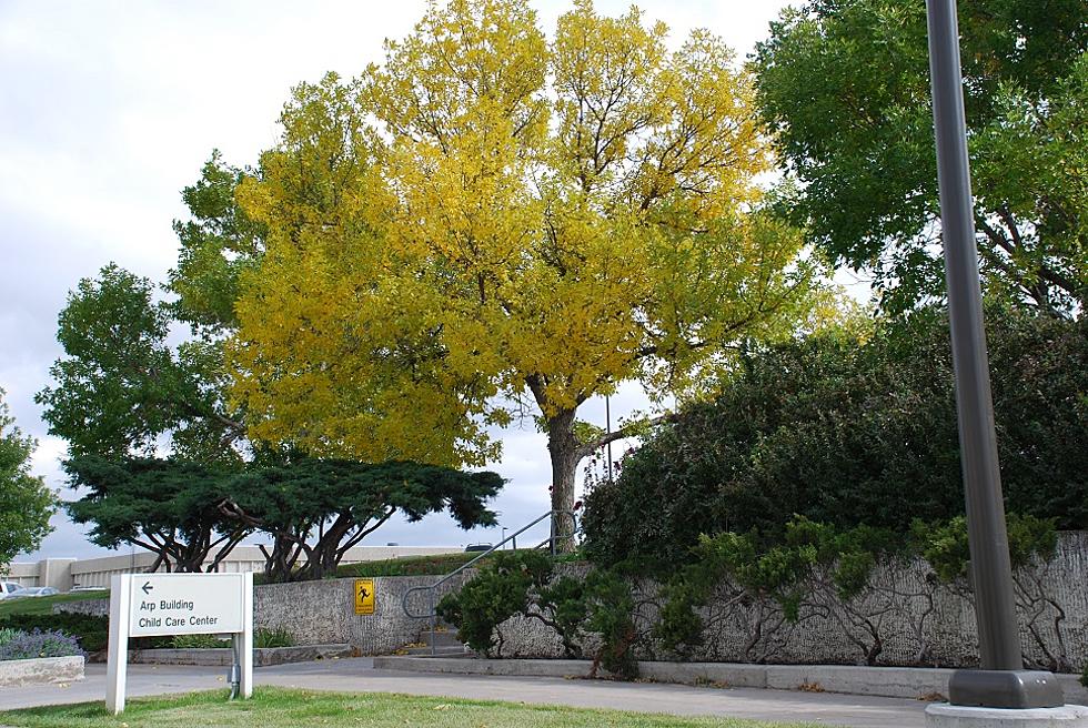 Fall Colors in Cheyenne at Laramie County Community College [PHOTOS]