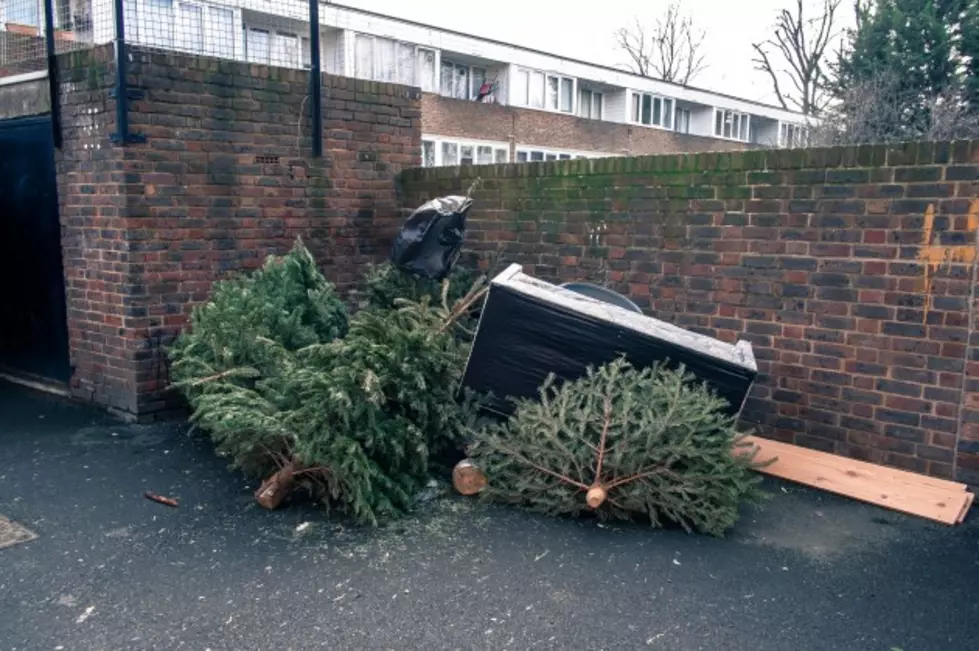 Have You Taken Down Your Christmas Decorations Yet?