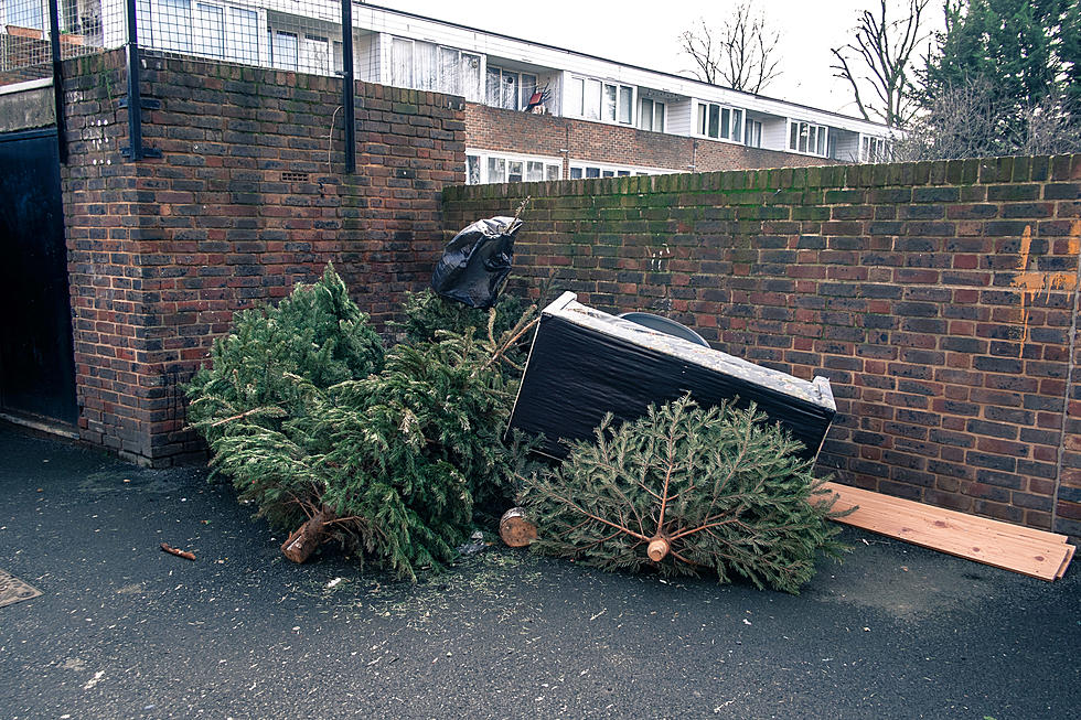 Have You Taken Down Your Christmas Decorations Yet?