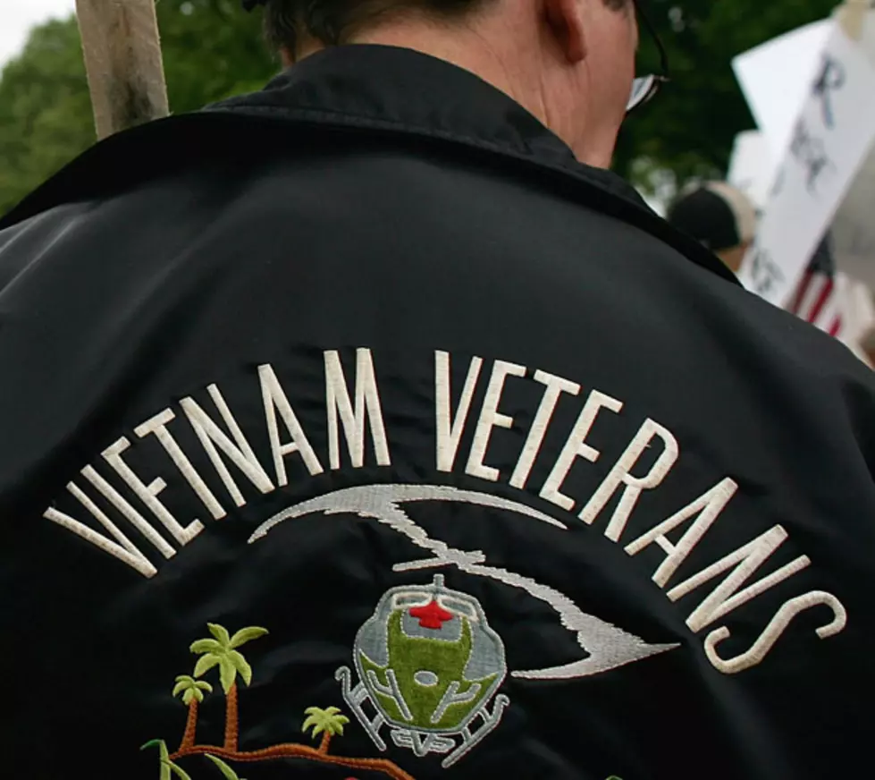 Vietnam Veterans Redux, Take Two