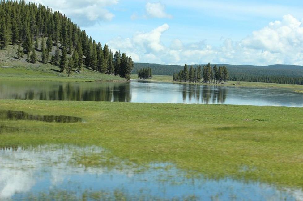 Yellowstone National Park Is The Most Beautiful Place On The Planet