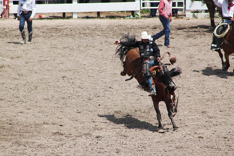 Preliminary Numbers: Cheyenne Frontier Days a Big Success