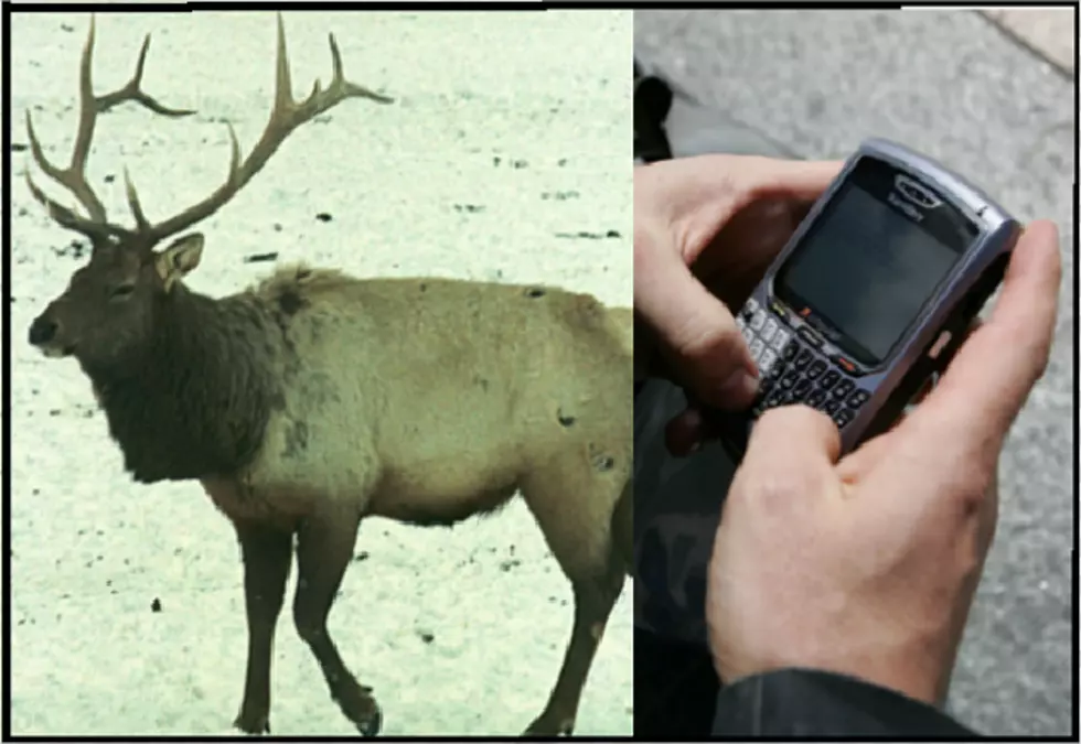 Wyoming Hunters Going Digital
