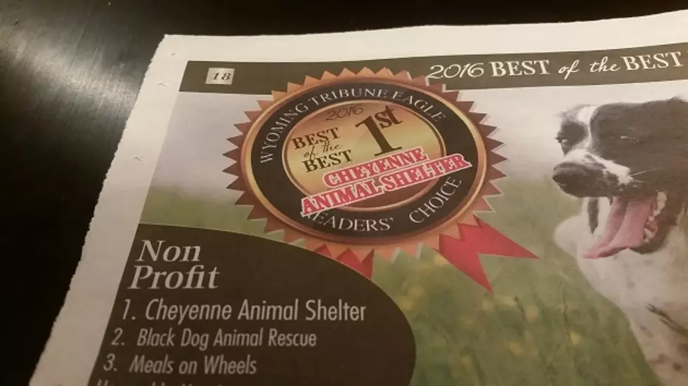 Cheyenne Animal Shelter Has Your Next Pet