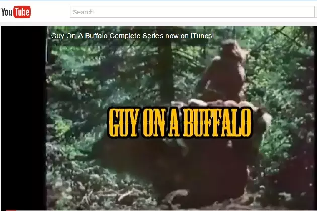 Anyone Else in Wyoming Hooked on the &#8216;Guy On A Buffalo&#8217; Videos?