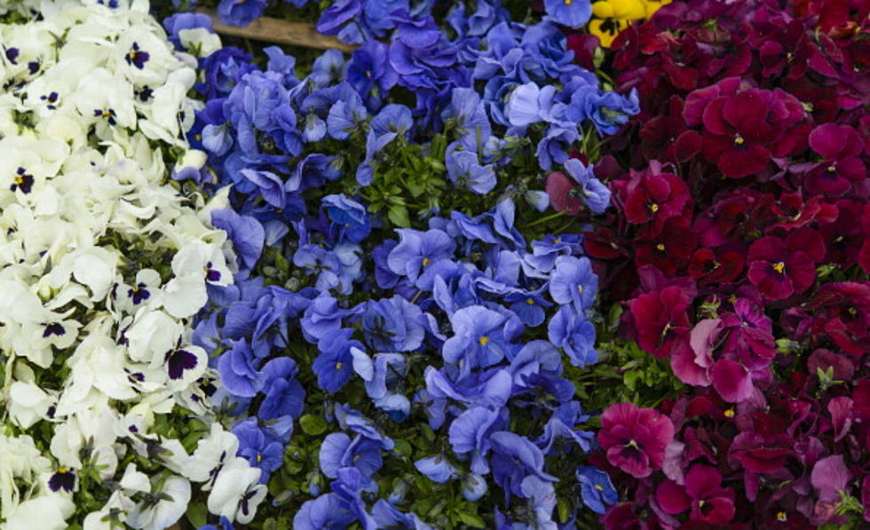 World Naked Gardening Day