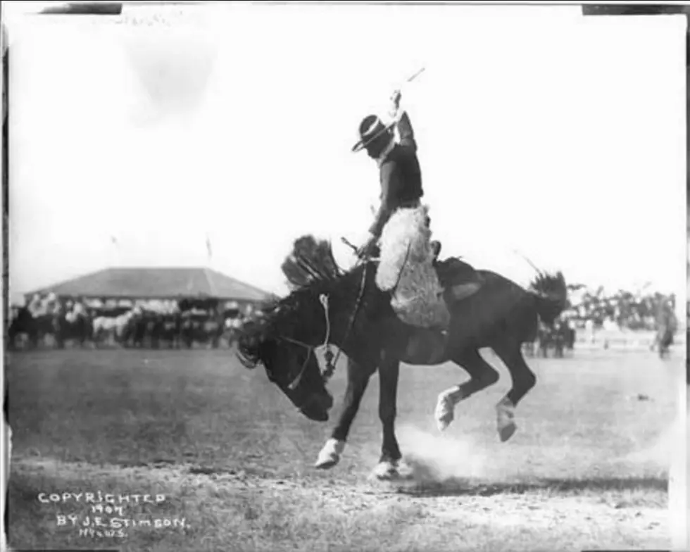 The Five Most Famous Horses in Wyoming History