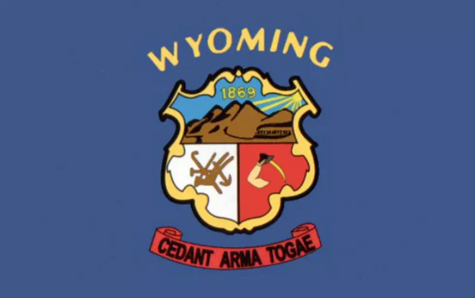The Wyoming Territorial Flag