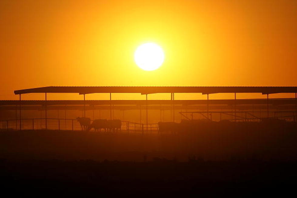 The Hottest Summer Days in Wyoming History