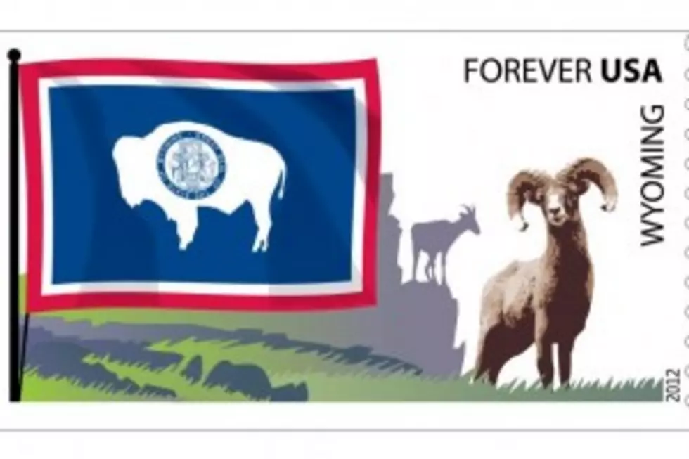 A Flag Day Salute to Wyoming&#8217;s Proud Bison