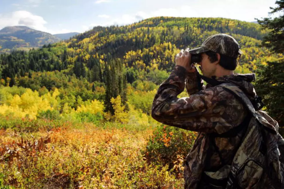 Hunting Success Rates in Wyoming