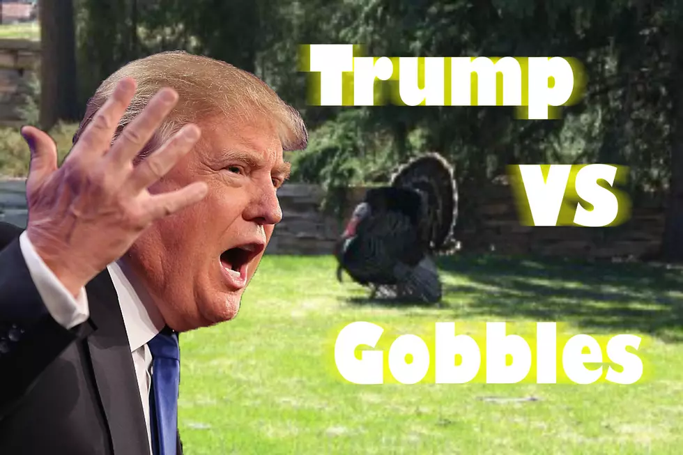 Trump vs. Gobbles 