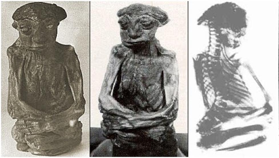 Pedro: The Strange Story Of A Mummy Found In Wyoming