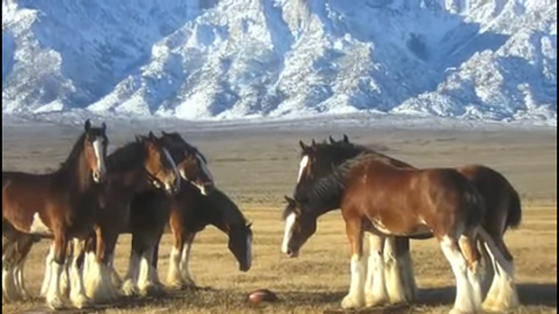 The Best Super Bowl Commercials Start In Dubois, Wyoming