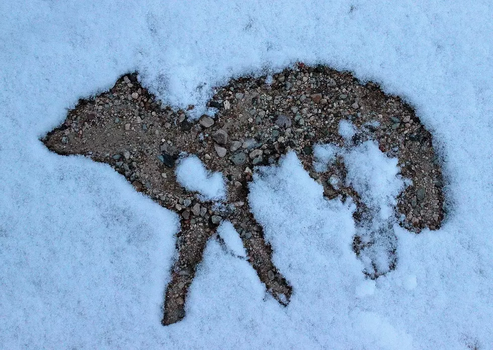 A Story Written In The Wyoming Snow