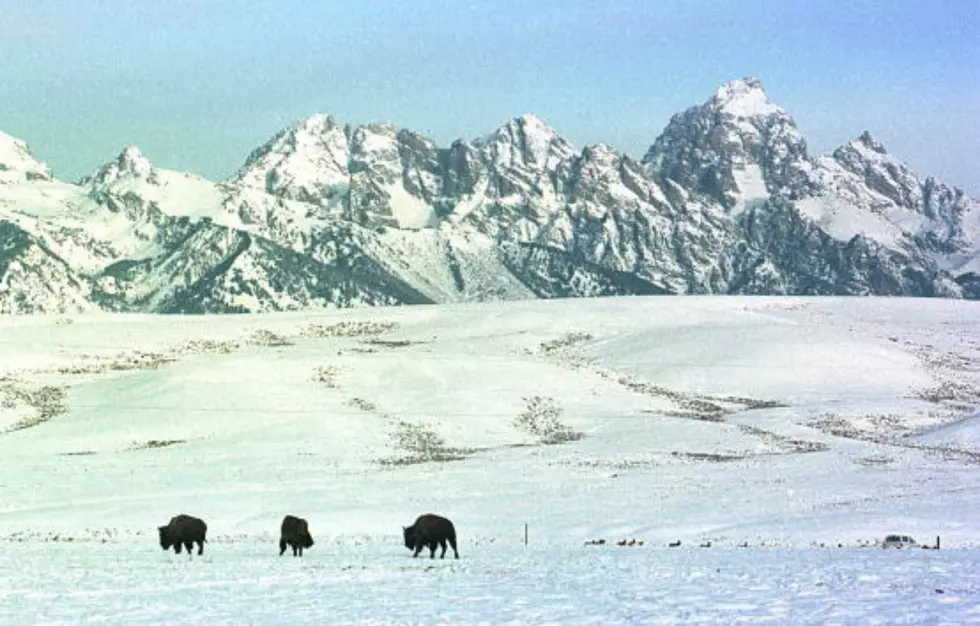 Happy Birthday, Grand Teton