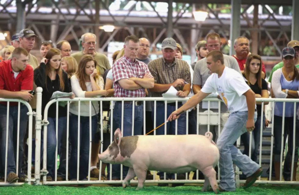 A ‘National Pig Day’ Tribute To Wyoming’s Best ‘Pig Out’ Places