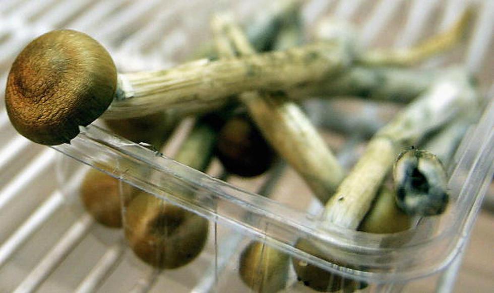 Are Magic Mushrooms Wyoming&#8217;s &#8216;Safest&#8217; Drug?