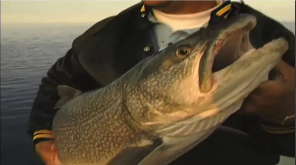 Biggest Fish Caught in Wyoming – Ever