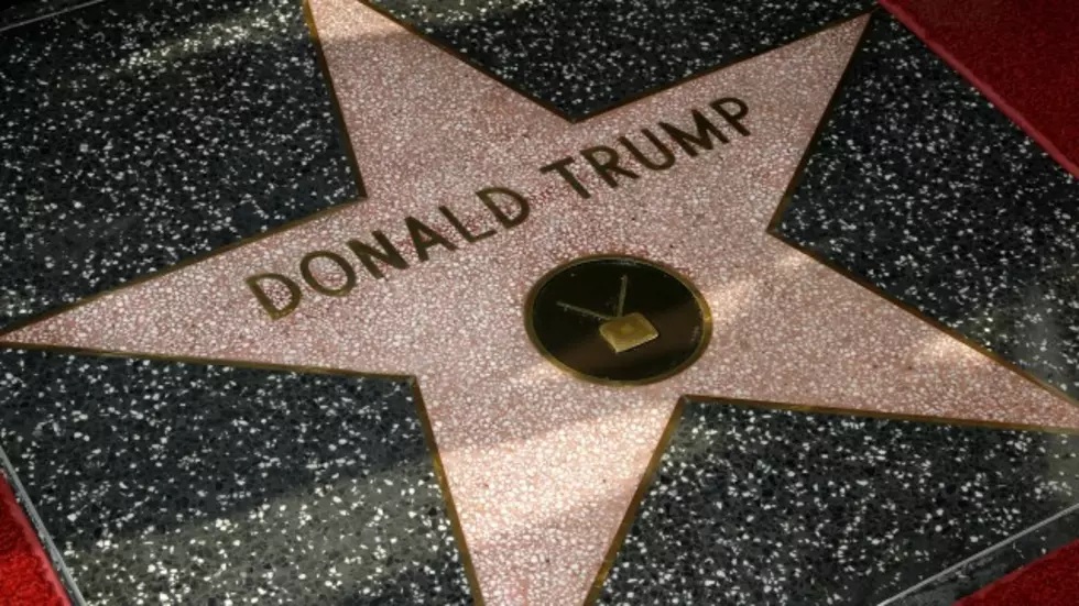 Wyoming Residents Overwhelmingly Support Makenna Greenwald Cleaning Donald Trump’s Hollywood Star [Poll Results]