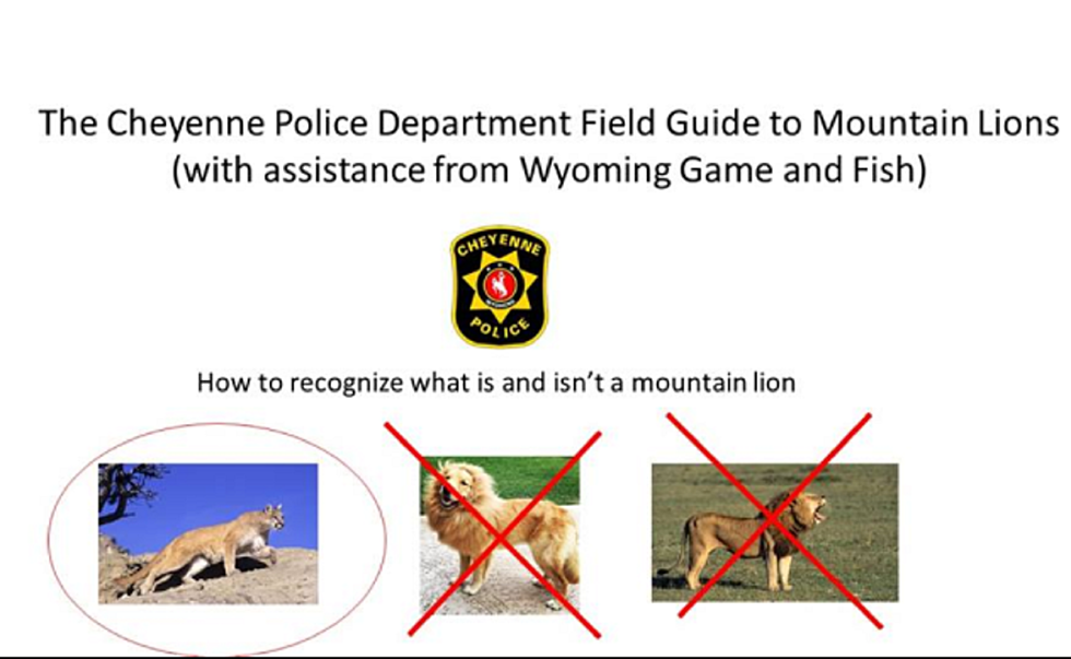 CPD Gives Hilarious Course In How To ID A Mountain Lion