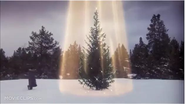 Wyoming Christmas Tree Season Adventure Begins