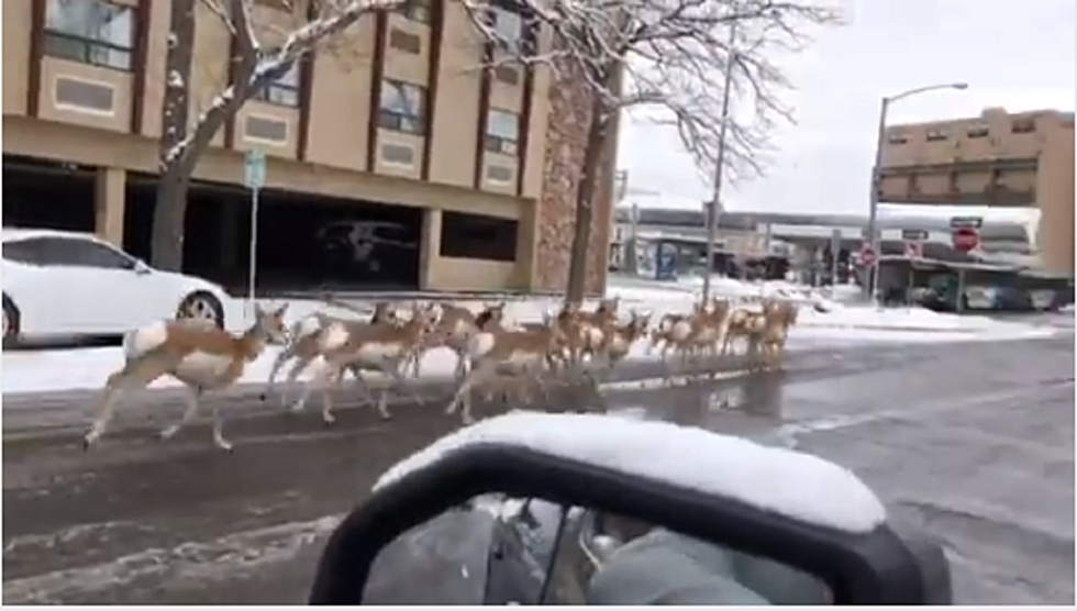 Rocky Mountain’s WIldest Traffic Report of the West [VIDEO]