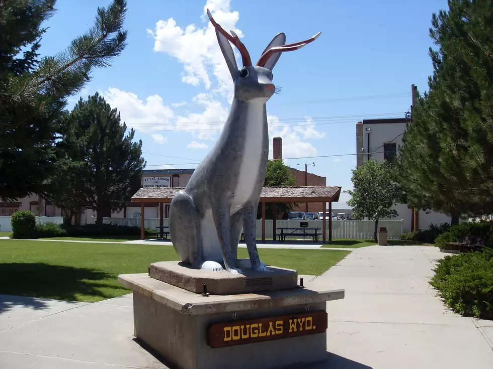 5 Reasons The Rest Of The State Should Aspire To Be More Like Douglas