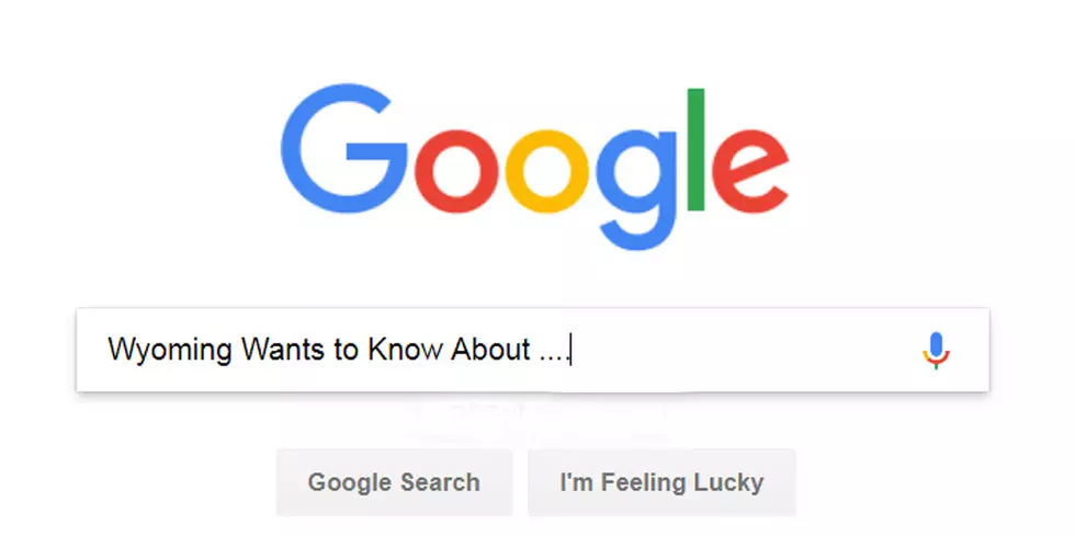 Study Ranks The Most Common Google Question In Wyoming