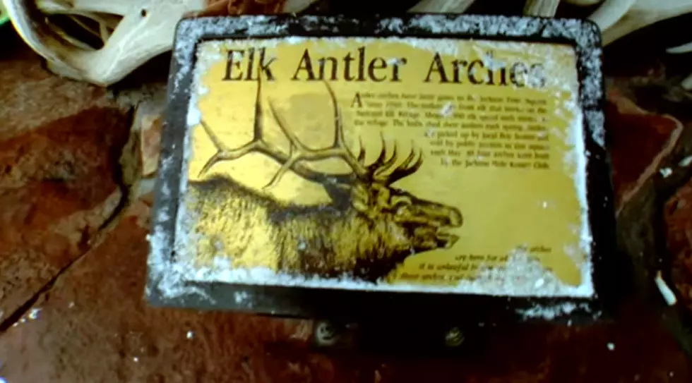 WYO's Other Antler Archway