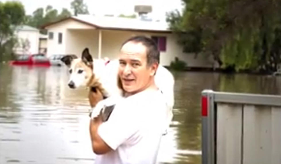 Cheyenne Ready To Rescue Pets From Disaster