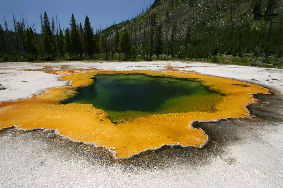 Happy Birthday Yellowstone – Why We Can’t Have Nice Things