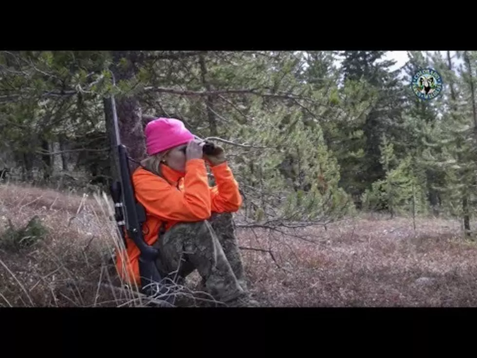Should Wyoming Hunters Be Allowed To Wear Pink? [POLL]