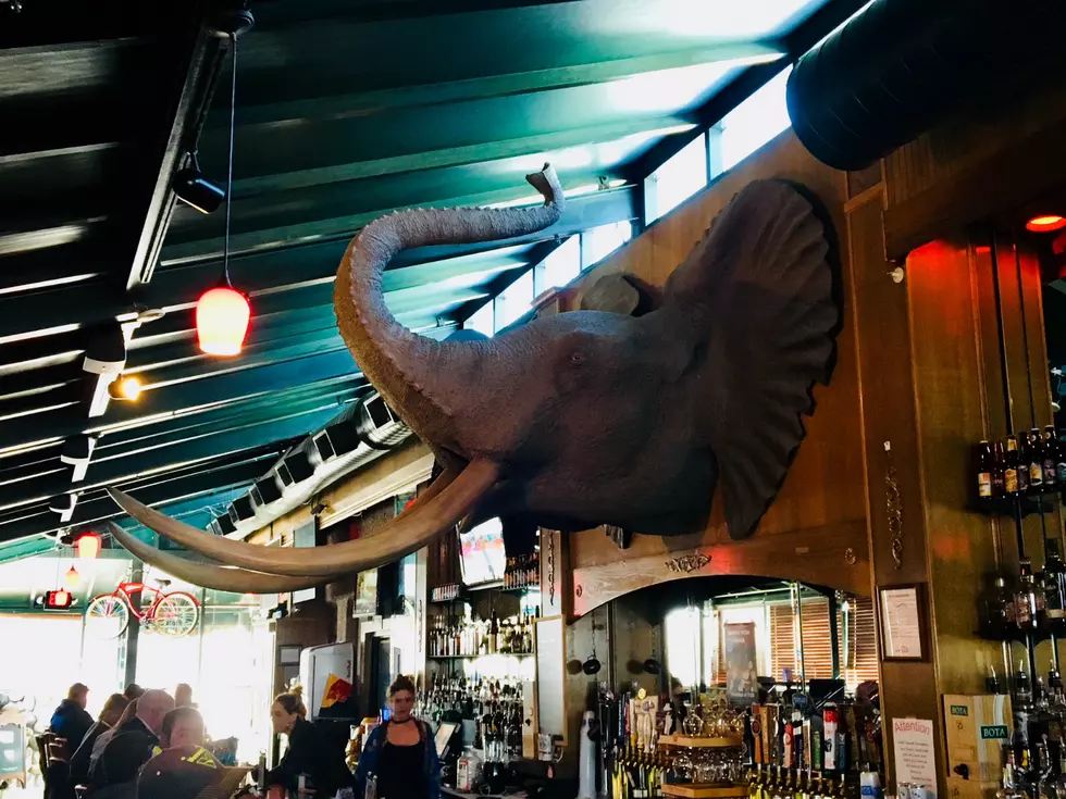 Local Tavern Named Wyoming's Best Theme Bar