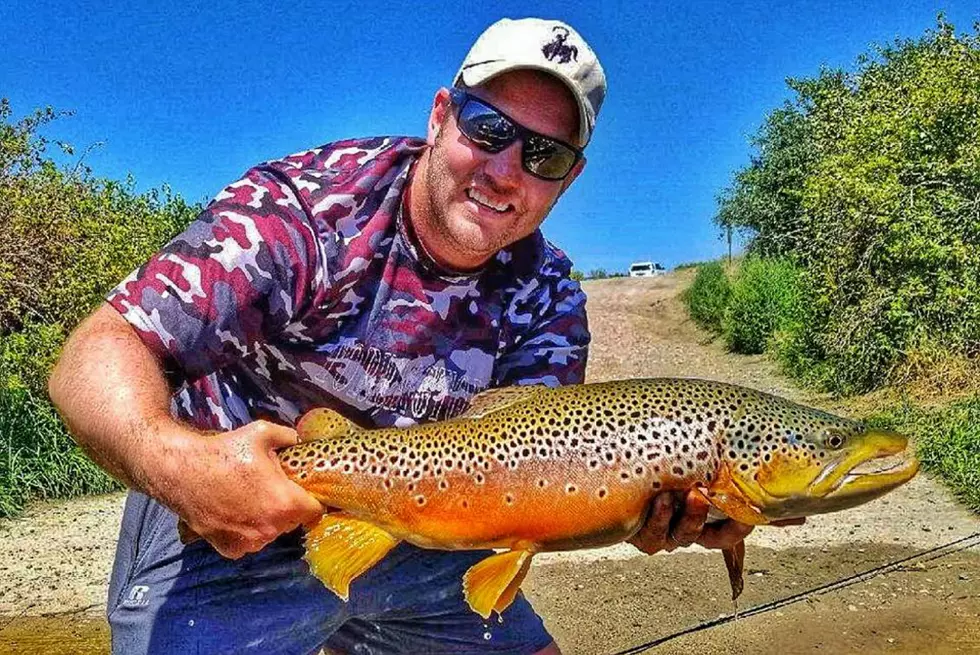 Meet Clyde, The Biggest Brown Trout In The North Platte River