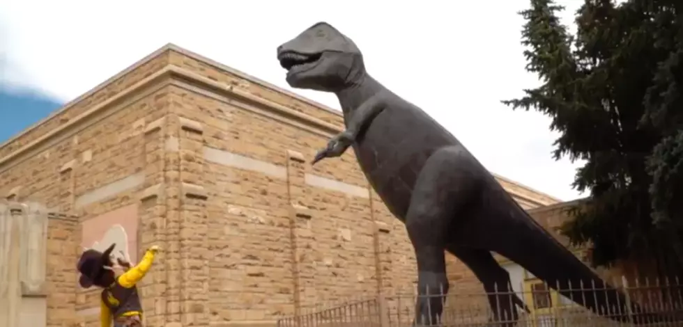 Wyoming Dinosaur Is Good Luck Charm