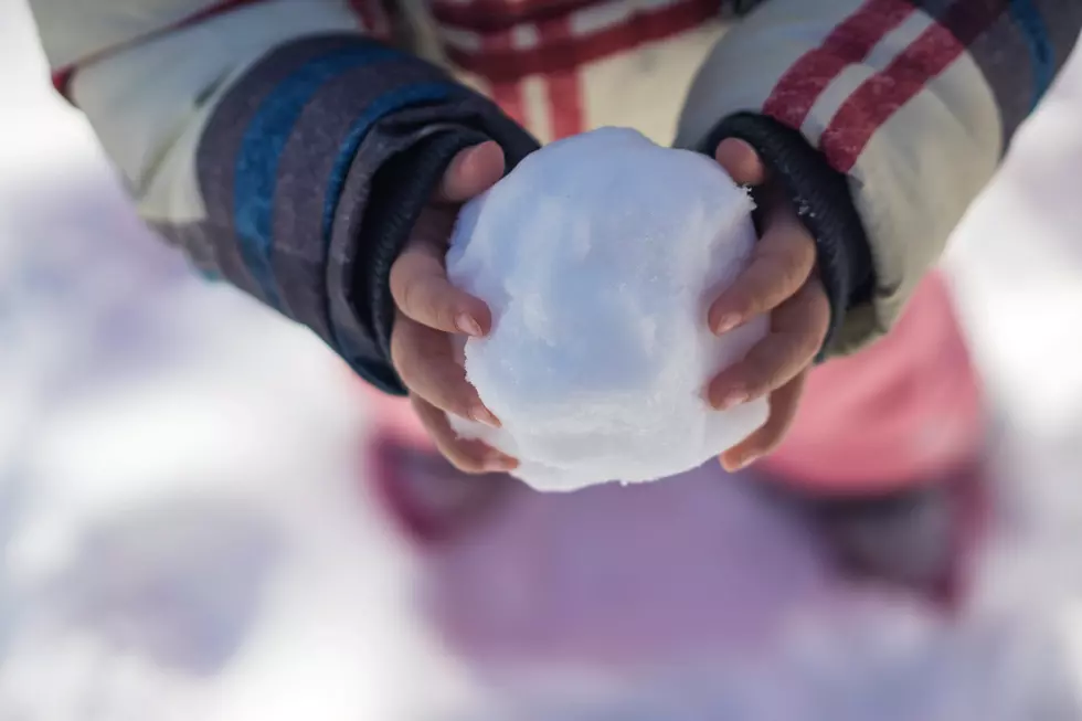 UW Students Excited for Winter? [VIDEO]