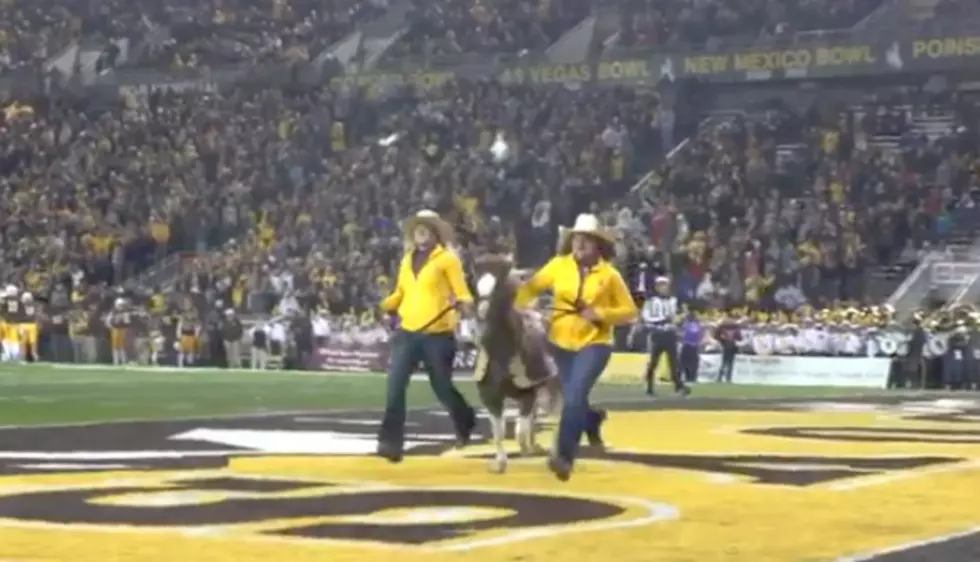 PETA Wants &#8216;Cowboy Joe&#8217; Ejected From Wyoming Football Games